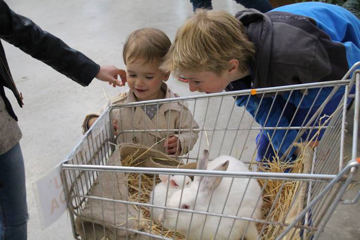 V. Udaberriko merkatua berrobin 4 1463915448883