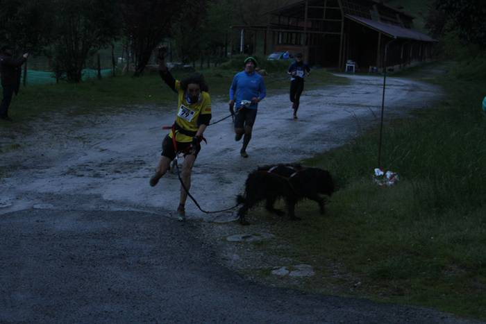 Zizurkil, txakur krosa 53 1490474105323