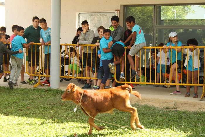 Ikaztegietako Jaiak 2017, um 25 1502457319045