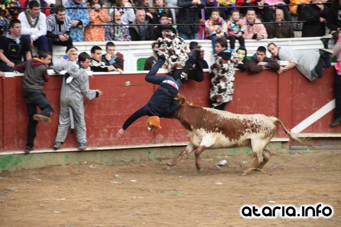 Pattar zezena 2016 24 1455012390299