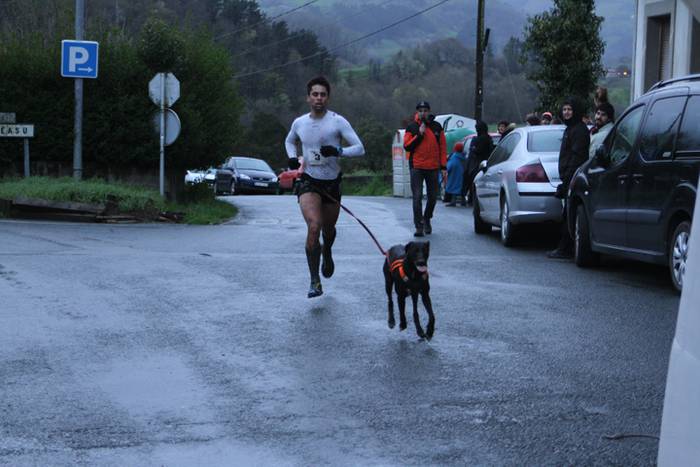 Zizurkil, txakur krosa 39 1490474034858