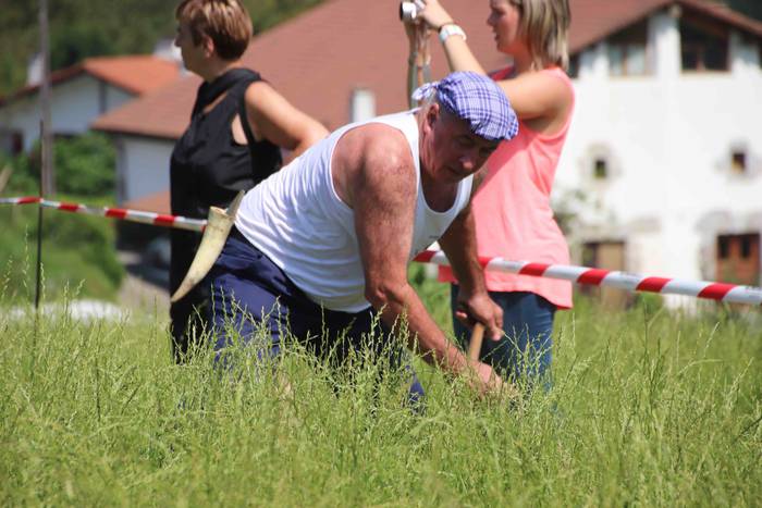 Erabaki dira Euskal Herriko  43 1532870356439