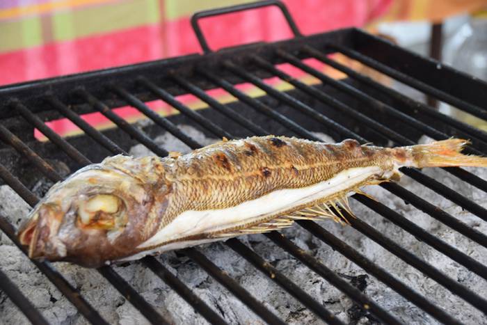 Bisiguaren Festa borobiltzek 4 1528037631006