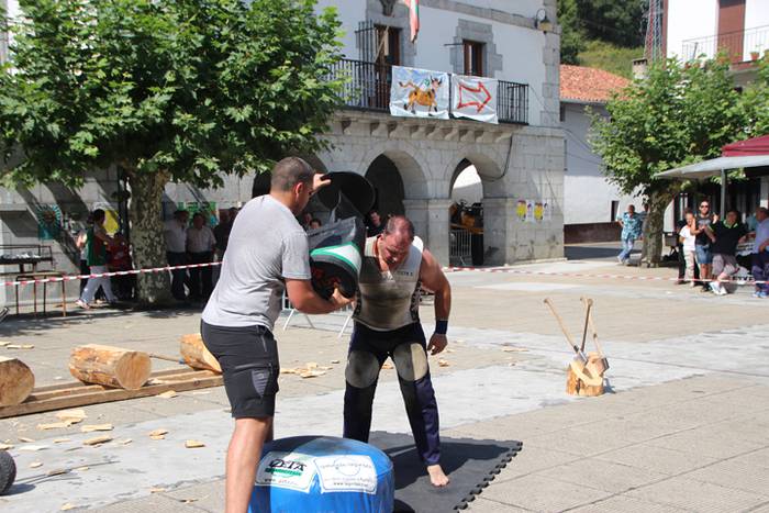 Mozorrorik onena, erakustald 41 1503591000455