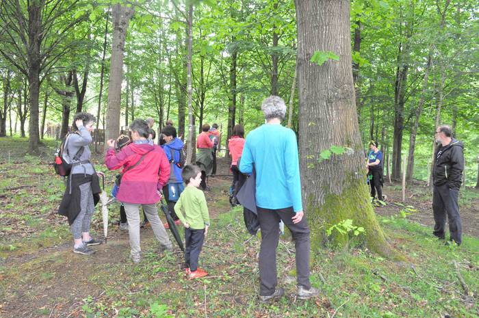 Zizurkilgo hegoaldeko mugarr 20 1621240765853