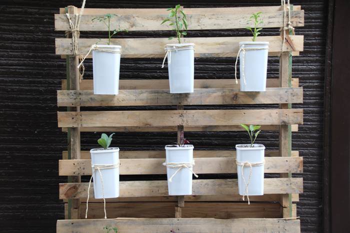 artekalea tolosa baratzeak 2016 12 1462968046633