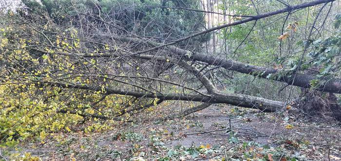 Errepidek 4 1603266689803