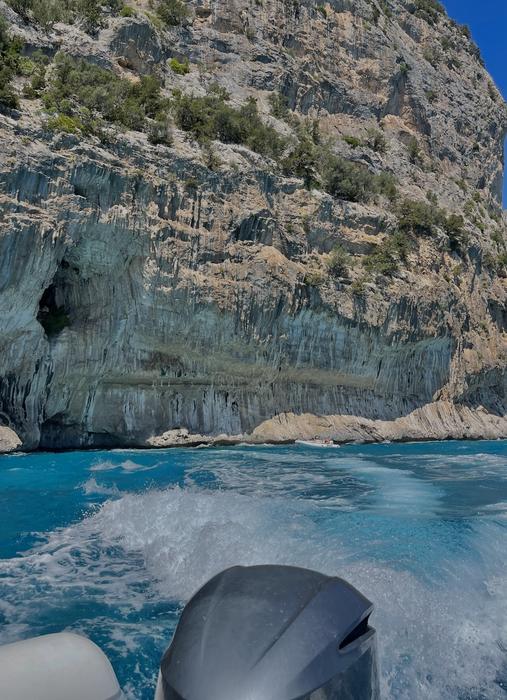 Gardentasunaren Erresuma