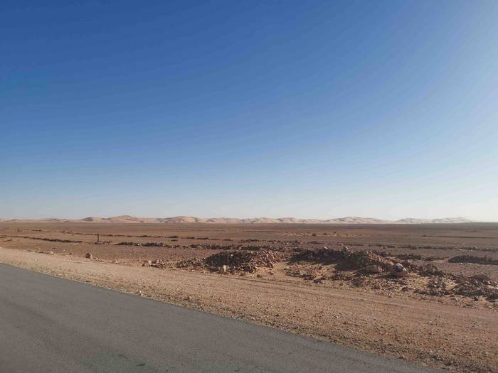 Basamortuaren erdian, helbur 5 1638889768618