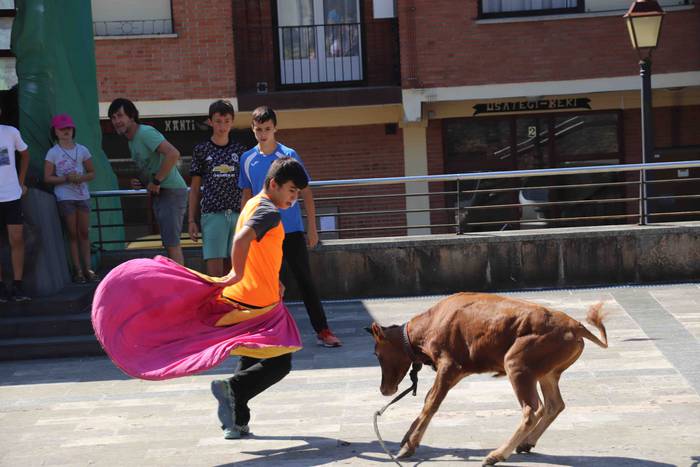 Festak hasteko, poniak eta z 49 1566994010478