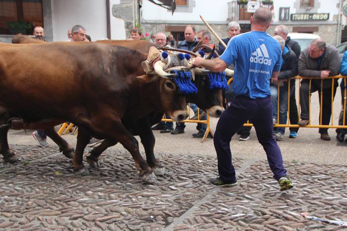 San Isidro Eguna Amasa Astea 17 1526395767403
