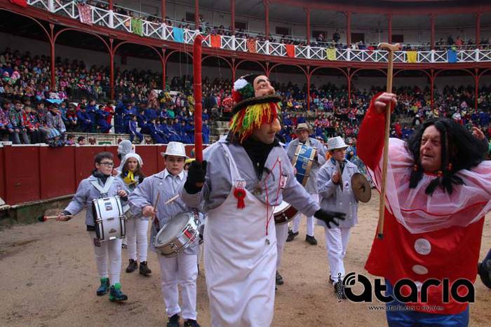 Zezen festarako gogoz 8 1518113756564