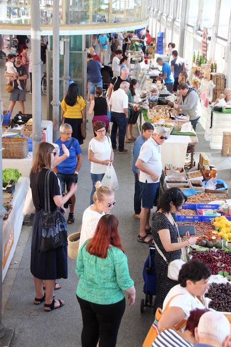 tolosako zokara bisita gidat 23 1657363890602