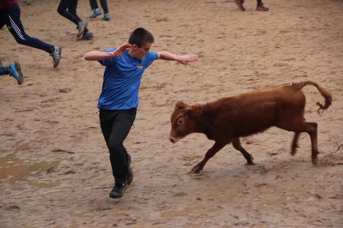 Txaranga eta zezenak piñata  37 1488738942057