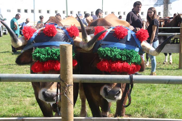 Berezia eta jendetsua 71 1506256860531