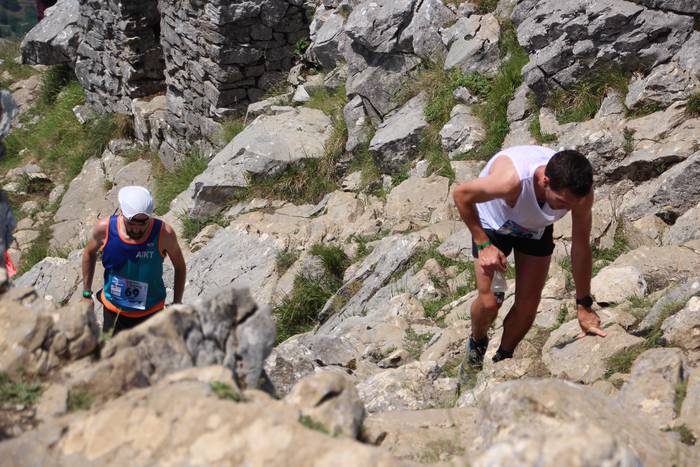 T3T 2022 hernio 30 1655039369138