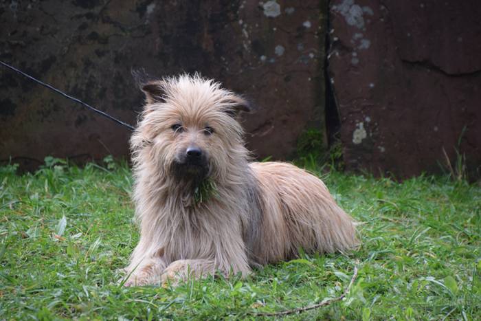 San Anton eguna, 2018, Beras 10 1516185124352