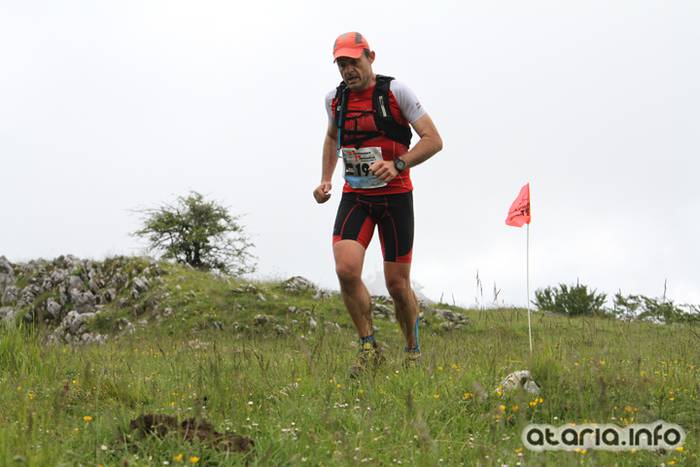 T3T tontor 2016 hernio 61 1466351092769