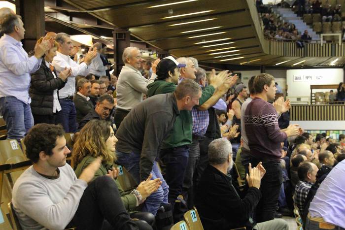 Bi maisu handi, katedralean 49 1571600538905