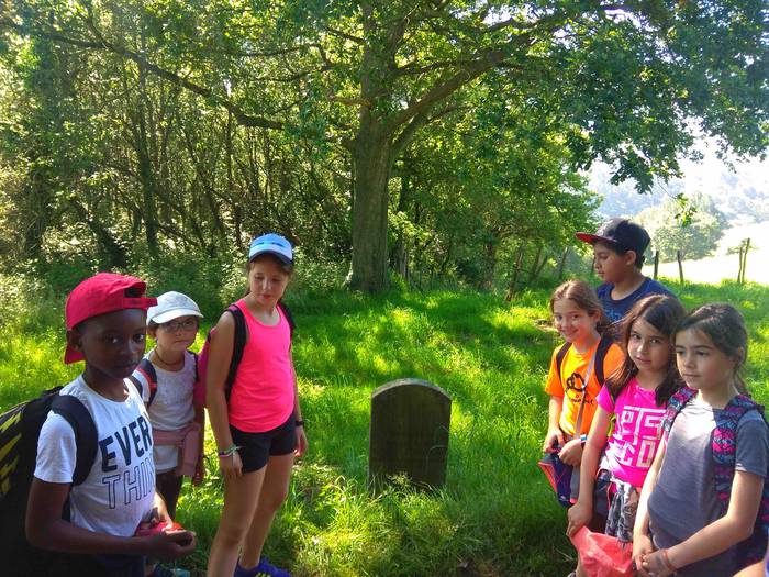 Fleming mendi irteera 23 1559657926970