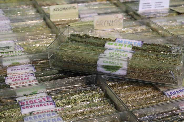 Giro ederra sortu da Asteasu 47 1664106962803