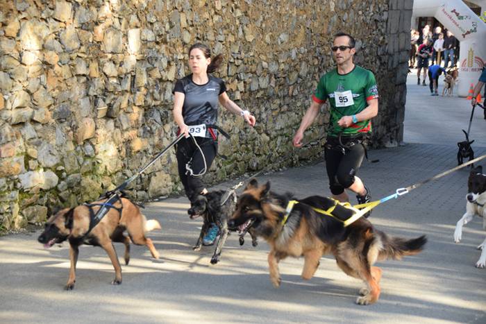 III. Txakur Krosa, Zizurkil 10 1523728652545