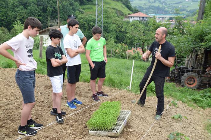 Ibarrako piperrak landatzen, 27 1527075759384