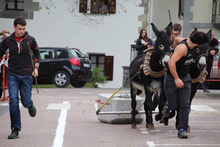 Idiek irabazi diete astoei A 24 1541962257301