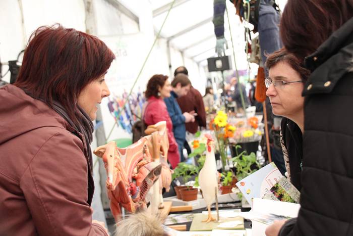 Lanbide azoka Tolosan 2016 6 1462016464813