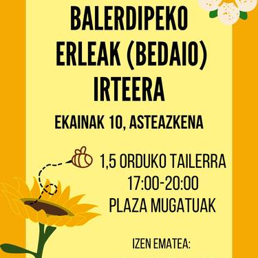 Irteera