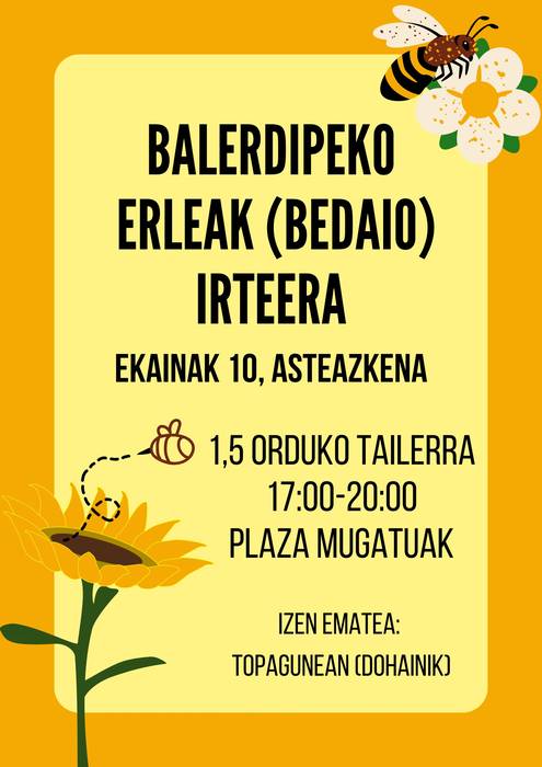 Irteera