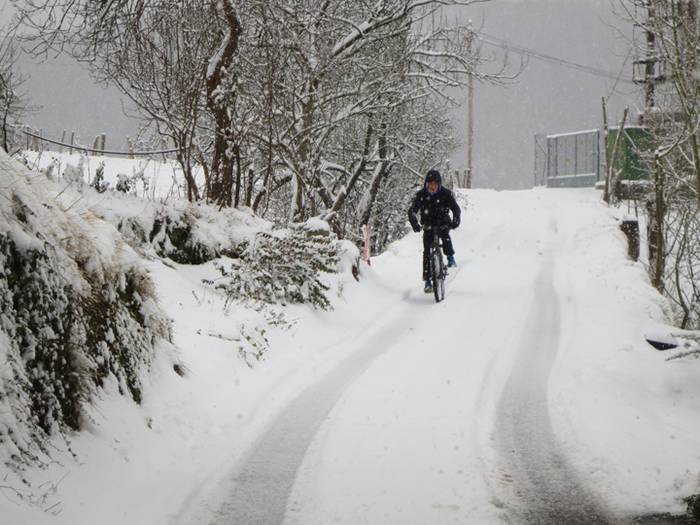 Argazki galeria: Tolosaldea, 47 1519809949738