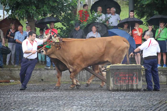 Zizurkil festak 2018 xiba et 26 1534452575898