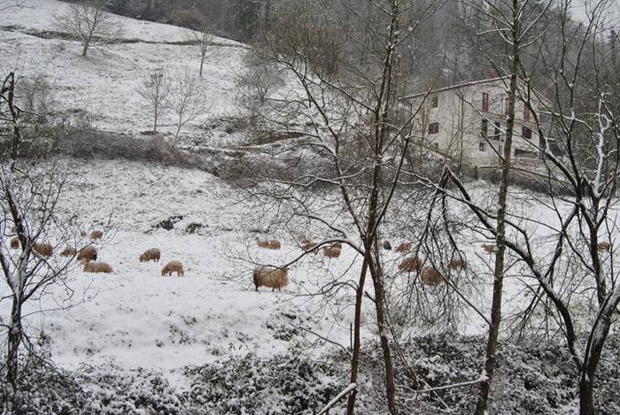 Argazki galeria: Tolosaldea, 9 1519809696883