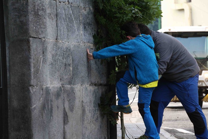 Berdez esnatzen da ekainaren 24a - 22