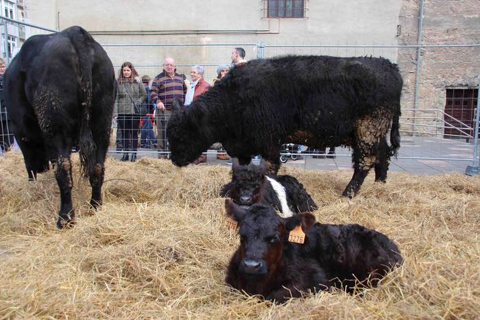 Gabonetako azokak jende asko 28 1576941760096