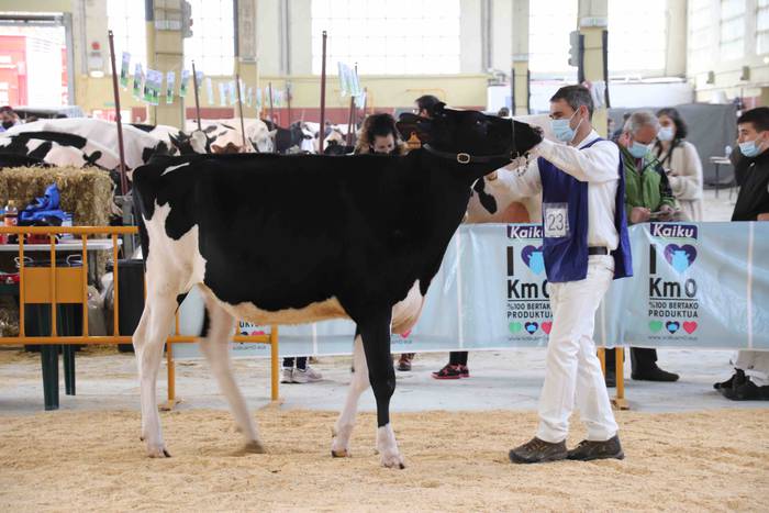 XII. Euskal Herriko Frisoi T 2 1637418663499