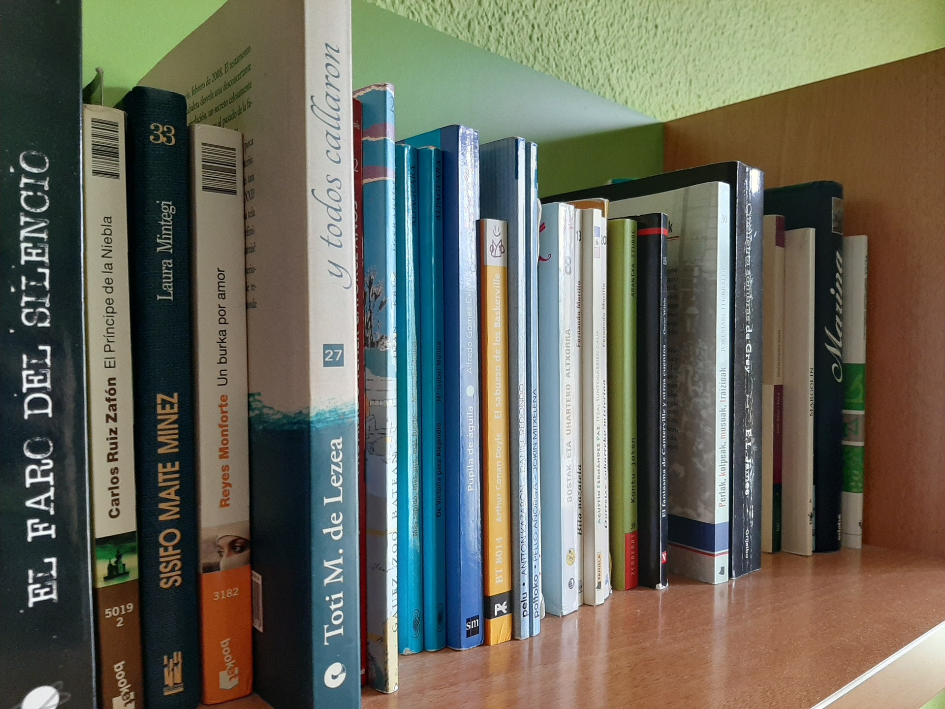 Liburutegi zerbitzua eskainiko du Lizartzako Udalak