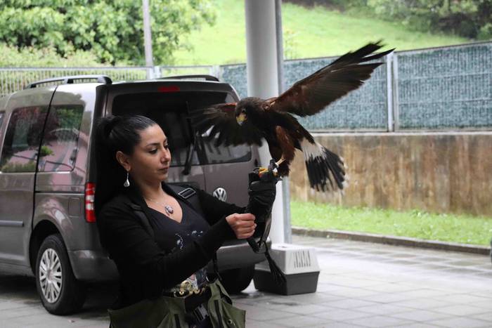 VIII. Udaberriko Azokaz goza 30 1558278839668