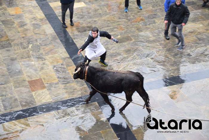 Inauteriak 2018, sokamuturra 49 1518438082443