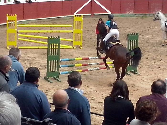 Zaldi erakustaldia Tolosa zezen plaza 4 1466419132170