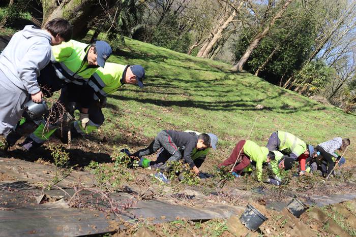 Tolosako ikasleek zuhaitzak  28 1520435596562