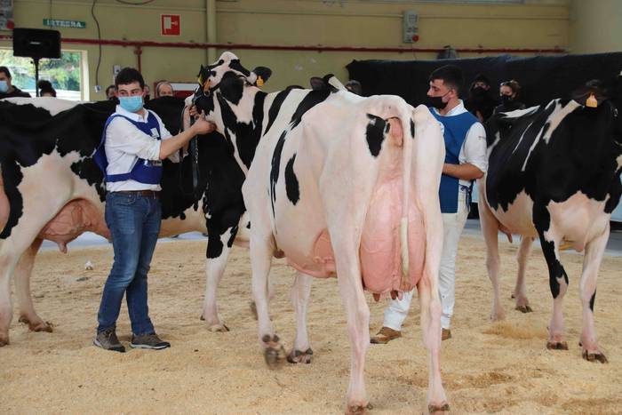 XII. Euskal Herriko Frisoi T 26 1637418674723