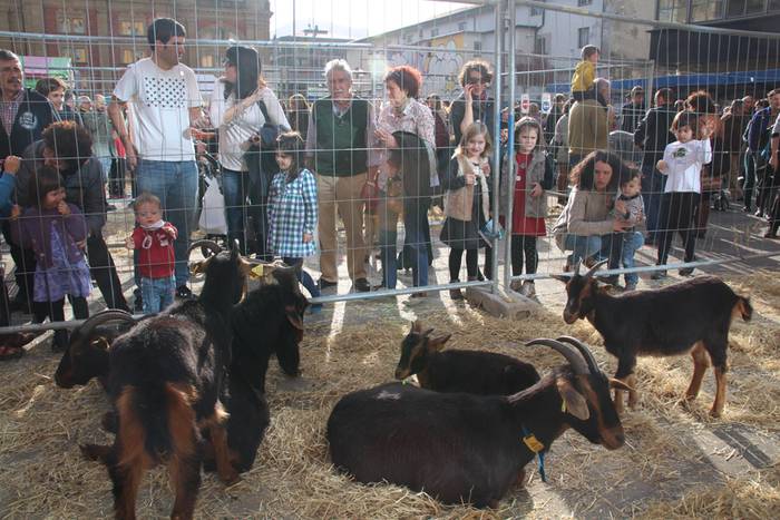 Tolosa Gabonetako Azoka berezia 2015 13 1450532617344