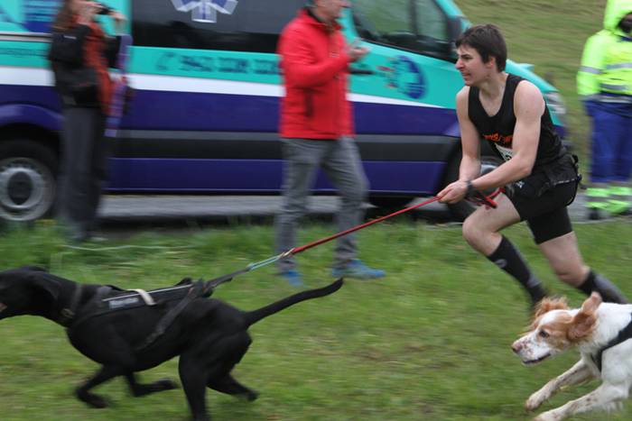 Zizurkil, txakur krosa 32 1490473987046