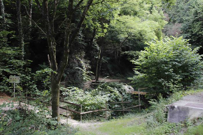 Malaka errekastoa 16 1627310009313