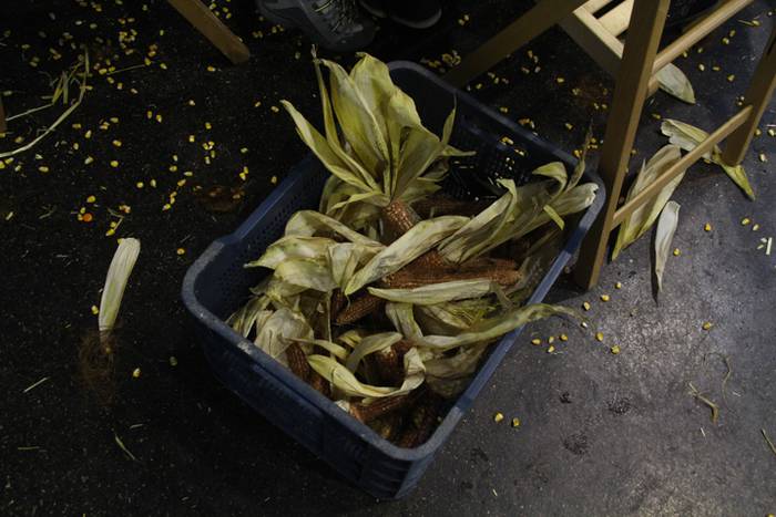 Frontoiaren babesean eta jol 11 1510334229136