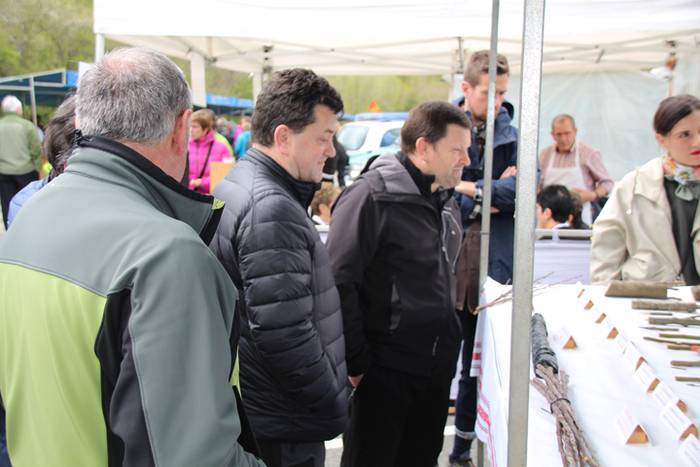 Aralarko larre irekiera 14 1462122126044