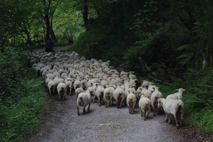 Larre irekiera ekitaldi bere 57 1588336806067