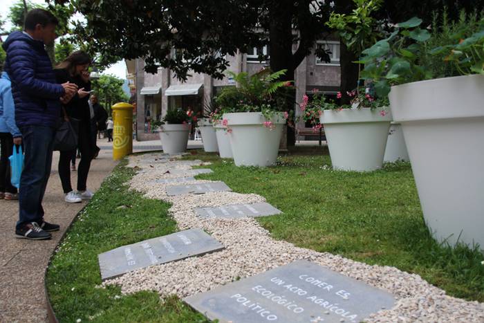 Eta liliek Tolosa ere amets 5 1495290208855